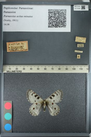 Media type: image;   Entomology 174566